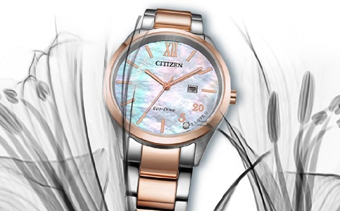 天津西鐵城表保養(yǎng)點