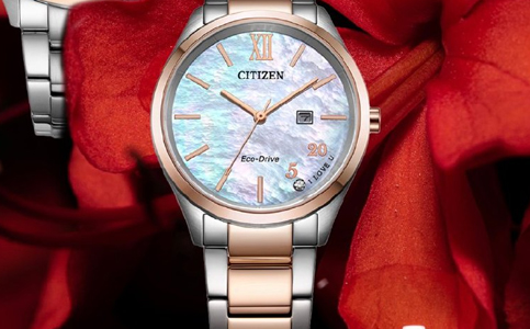 東莞西鐵城手表售后維修服務(wù)中心